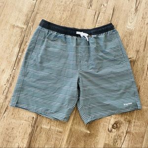 RHYTHM Trunks Sz 32 blue coastal stripe beach short NWT